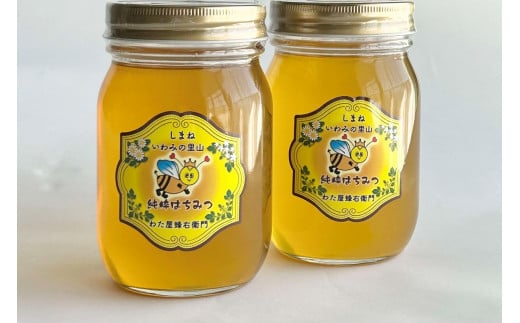 水のきれいな浜田市金城町産「いわみの里山　純粋はちみつ」500g×２本 【184_1903】