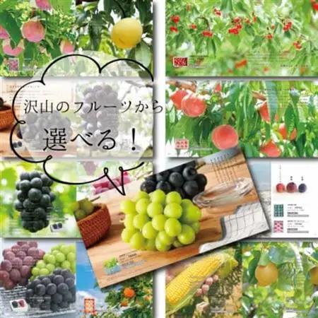 山梨の旬を味わう!選べるプレミアムギフトカタログ【※2品選べる】【配送不可地域：離島】【1203758】
