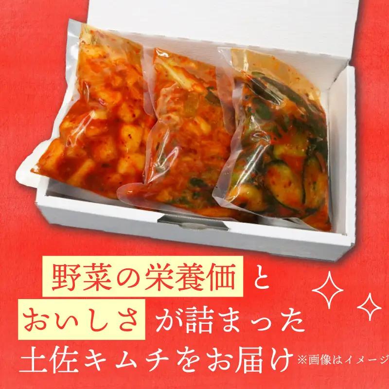 土佐キムチ 【300g×3】 合計900g 大根キムチ