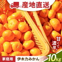 【ふるさと納税】伊木力みかん（家庭用） 10kg / みかん ミカン 蜜柑 mikan 柑橘 かんきつ フルーツ ふるーつ 果物 くだもの / 諫早市 / 山野果樹園 [AHCF001]