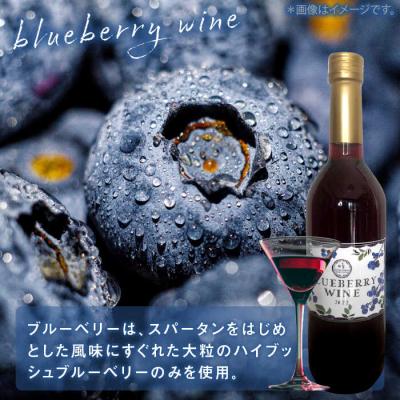 ふるさと納税 糸島市 糸島産 ブルーベリー/ブラックベリー ワイン 720ml×2種セット[AHM001] |  | 02