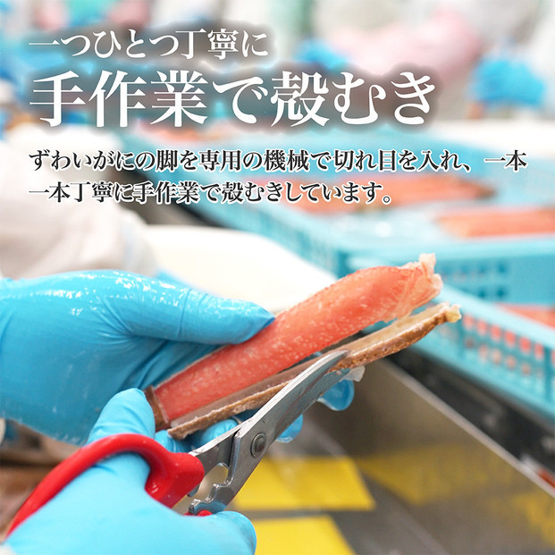 生ズワイガニ ポーション 太脚だけ 肩肉無し 500g 生食OK 小サイズ21-30本 ＜福岡市内製造＞