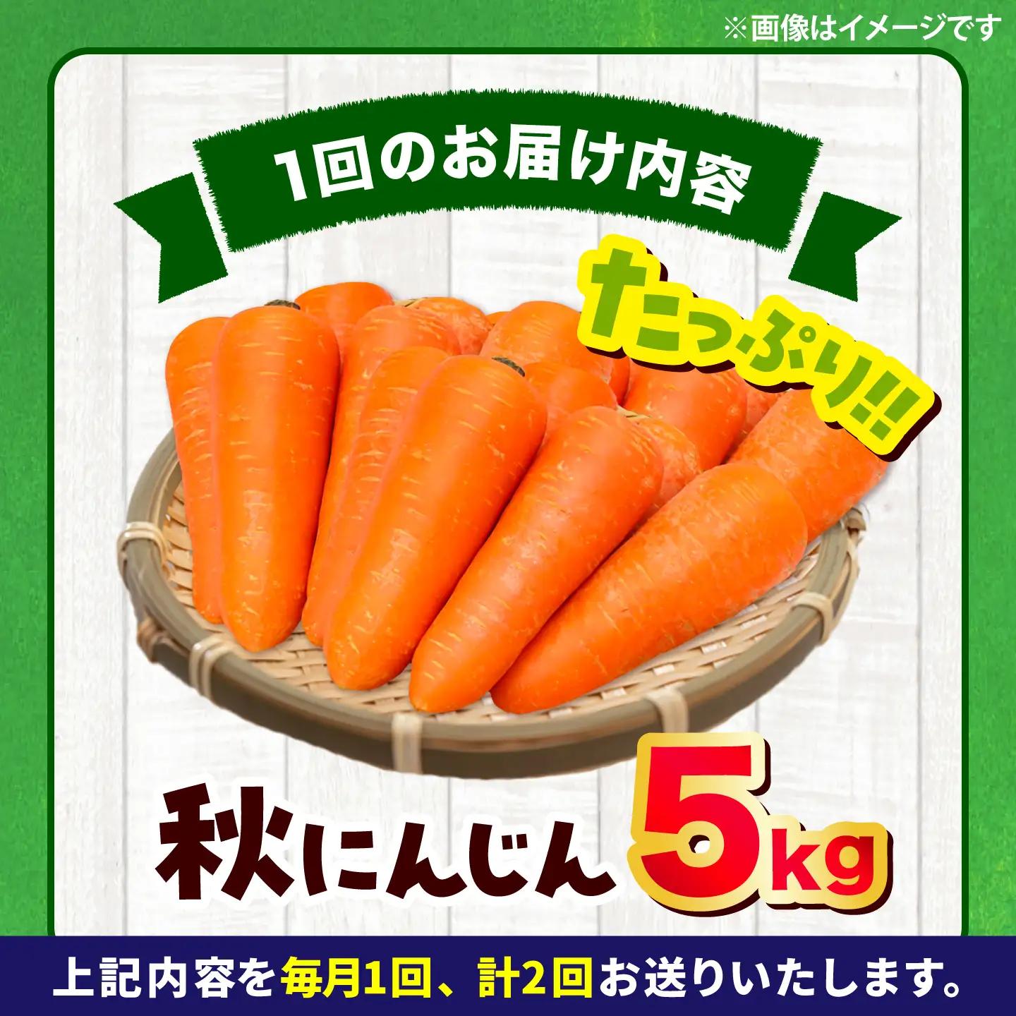 【先行予約】【2026年12月順次発送開始】【全2回定期便】秋にんじん5kg / にんじん ニンジン 野菜 β-カロテン 食物繊維 抗酸化作用 栄養満点 熊本県産 菊陽町　【株式会社 まゆみ農園】[B
