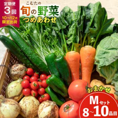 ふるさと納税 島原市 【発送月固定定期便】【10〜12月限定出荷】こむたの旬の野菜(8〜10品目)おまかせMセット全3回