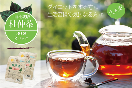 黒姫和漢薬研究所「自社栽培杜仲茶30包」2個セット【長野県信濃町ふるさと納税】