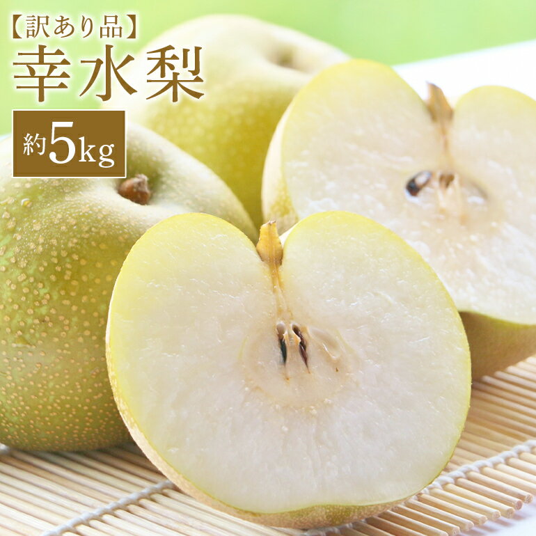 【ふるさと納税】訳あり 柴沼梨園の梨 （ 幸水 ） 梨 5kg 訳あり品 10～18個入り 訳アリ 不揃い ナシ なし 国産 茨城 秋 旬 フルーツ 果物 先行予約 【8月中旬～8月下旬発送】 旬の果物 くだもの サイズ 品種 幸水梨 産地 茨城県 家庭用 送料無料