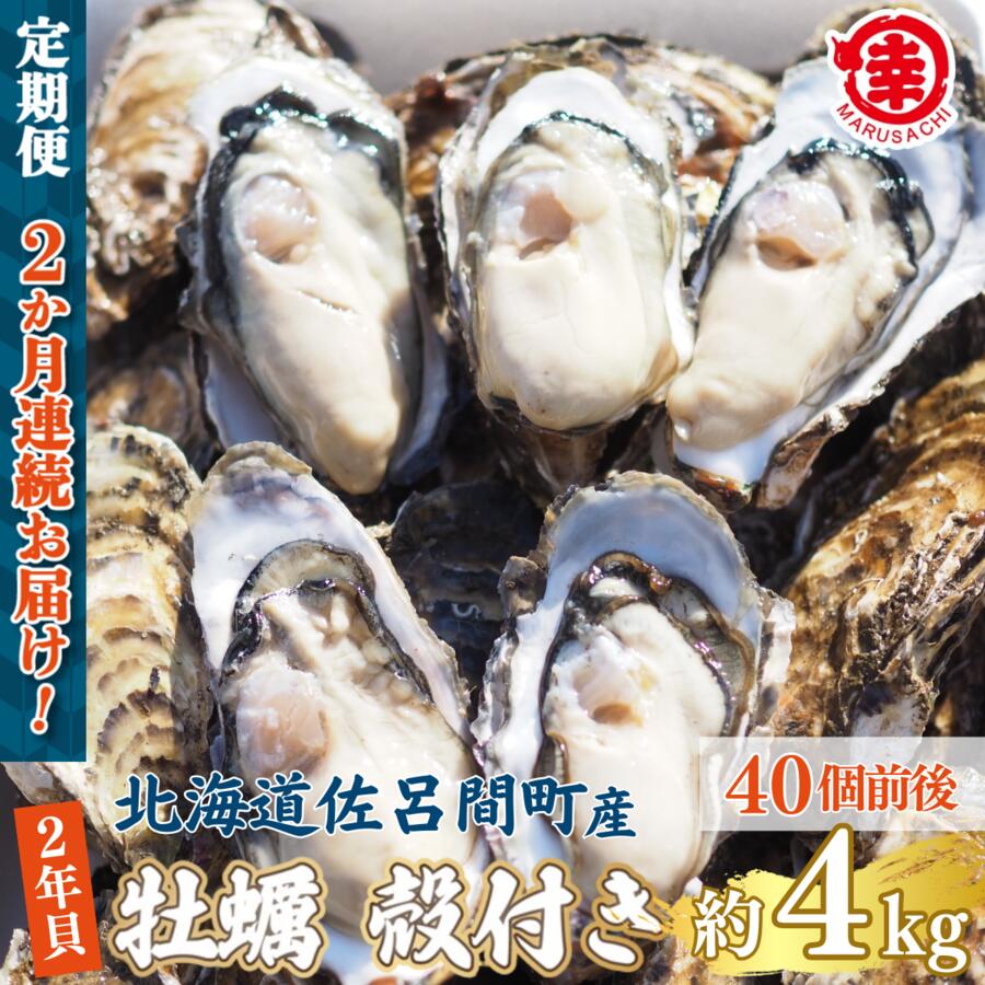 【ふるさと納税】【先行予約】【10月中旬から順次発送】カキ 殻付き 2年貝 約4kg（40個前後） 佐呂間産 ［2回定期便］ 【 ふるさと納税 人気 おすすめ ランキング 牡蠣 カキ かき 貝 牡蠣貝 殻付き ギフト 贈答 冷蔵 海鮮 オホーツク 北海道 佐呂間町 送料無料 】 SRMA042