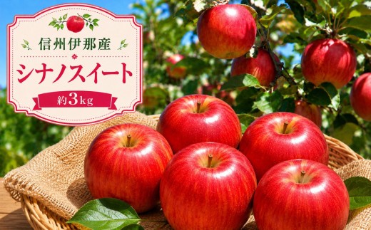 【先行受付】信州伊那産 りんご シナノスイート 約3kg【10月下旬頃から順次発送予定】｜りんご リンゴ 林檎 果物 くだもの  シナノスイート  伊那市 長野県 信州 【011-c5】
