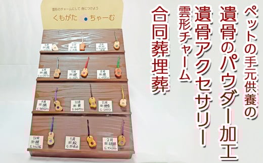 ペットの手元供養の遺骨のパウダー加工＋合同葬埋葬＋遺骨アクセサリー雲形チャーム