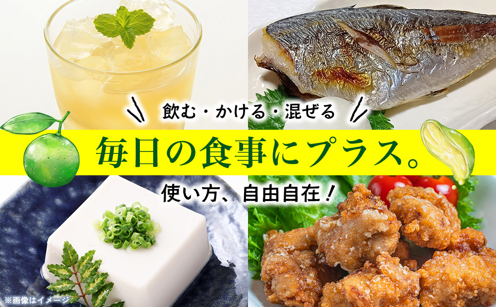 オキナワシークヮーサー100％ 500ml×2本セット