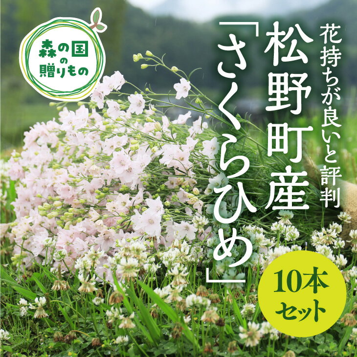【ふるさと納税】【産地直送】さくらひめ（秀）10本セット ※2026年2月上旬～2月下旬頃に順次発送予定