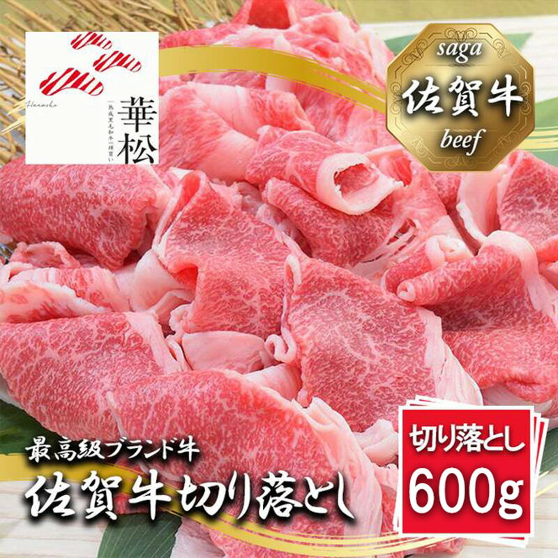 【ふるさと納税】【冷凍】佐賀牛切り落とし600g(300g×2パック）(BL093)