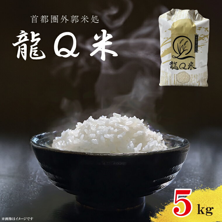 【ふるさと納税】龍Q米（5kg）(AO002)