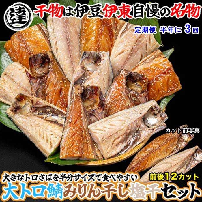 G3*【ふるさと納税】【定期便 全3回】伊豆・伊東 丸達水産 人気No.1 さばみりん6切＆しおさば6切 食べやすいハーフカットセット 半年に3回