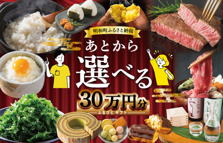 あとからセレクト　30万円　M1882