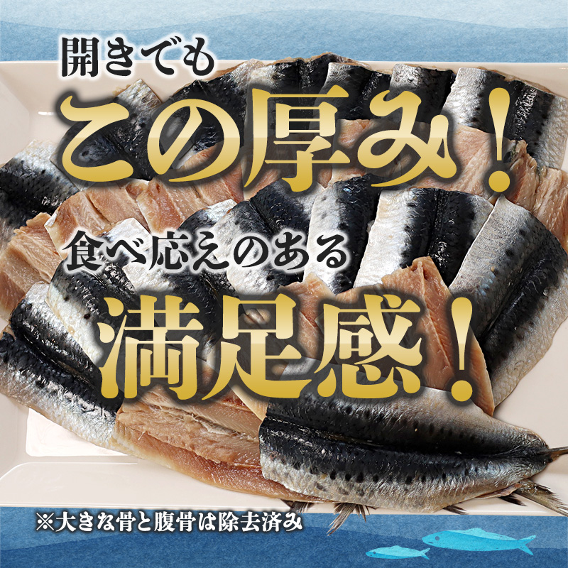 舞鶴産 無塩いわし開き 20尾  骨抜き バラ凍結 レシピ付き | 鰯 無塩 開き 骨抜き バラ 冷凍 海鮮 魚介 干物 京都 舞鶴市