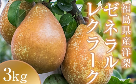 
            阿部農縁　希少な洋梨ゼネラルレクラーク3kg(6～8玉)　福島の洋梨 F7X-0026
          