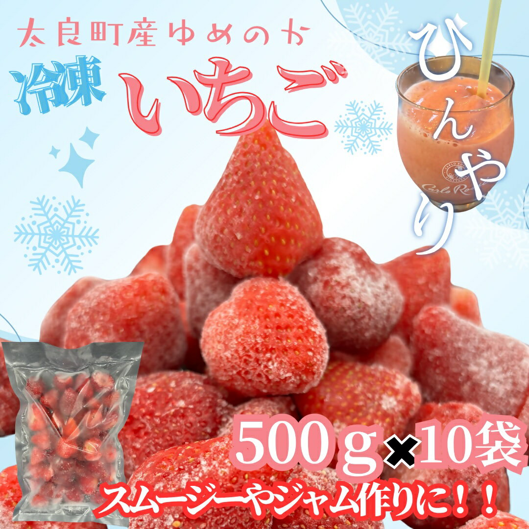 【ふるさと納税】PB14 訳あり！太良町産「ゆめのか」冷凍いちご500g×10袋 佐賀県 太良町