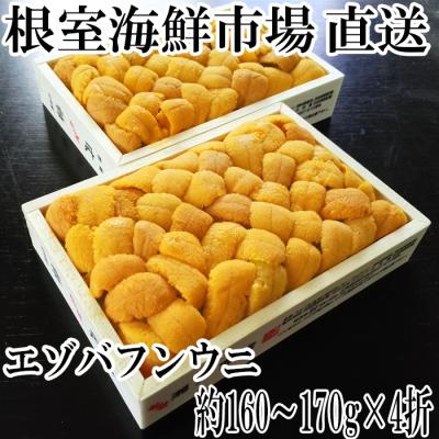 ふるさと納税 根室市 エゾバフンウニ(黄系)160〜170g×4折 E-28022
