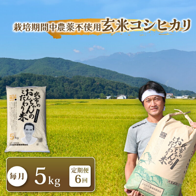 【ふるさと納税】 特別栽培米 栽培期間中農薬不使用 玄米 コシヒカリ 6回定期便 米 コメ お米 5kg 5キロ 令和7年度 数量限定 ご飯 おにぎり こめ 産地直送 農家直送 毎月 高知県 南国市