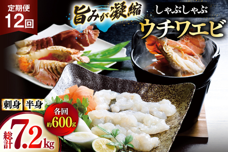うちわえび エビ 海老 刺身 しゃぶしゃぶ 海鮮 12回 定期便 ウチワエビ刺身 約200g・ウチワエビ半身 約400g セット 総計7.2kg [ひばり 長崎県 平戸市 hr42bgy420029]