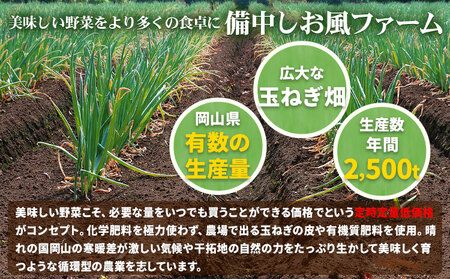 新玉ねぎ【2025年先行予約】 しお風新たまねぎ 約2kg 《5月中旬-5月末頃出荷》 玉ねぎ 新たまねぎ 玉葱 たまねぎ 新玉 野菜 青果物 岡山県 笠岡市