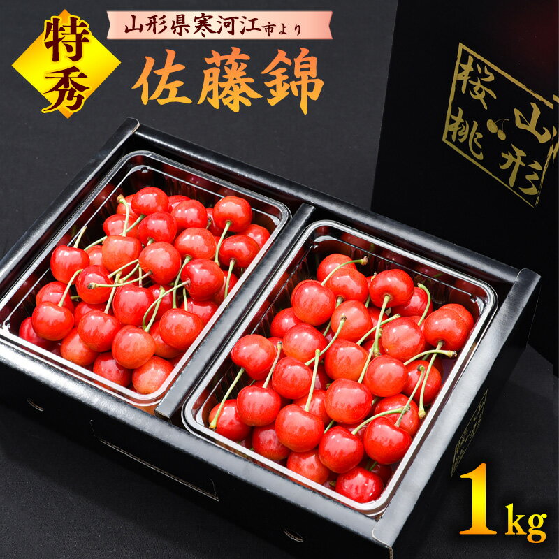 【ふるさと納税】さくらんぼ 「佐藤錦」 特秀品 1kg（500g×2） 2Lサイズ以上 山形県産 【2025年6月上旬頃〜下旬頃発送予定】／ 2025年産 令和7年産 お取り寄せ ご当地 贈答 プレゼント 特産 フルーツ 果物 くだもの サクランボ 季節限定