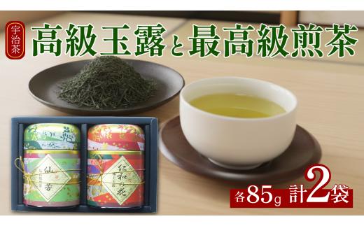 高級 宇治玉露・最高級 宇治煎茶 各85g缶入り 茶葉 セット 玉露 宇治玉露 宇治茶 国産 お茶 茶 日本茶 煎茶 旨味 旨み 香りドリンク 飲料 詰合せ 詰め合わせ 食べ比べ 飲み比べ 茶葉セット ギフト プレゼント ふるさと納税 おすすめ 人気 ランキング ご当地 グルメ お取り寄せ 京都府 井手町 京都 宇治 小川武治茶舗