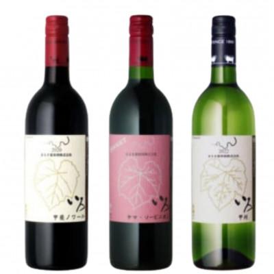 ふるさと納税 甲州市 まるき【いろシリーズ】計3本 いろ甲斐ノワール いろヤマ・ソービニオン いろ甲州 C-1663