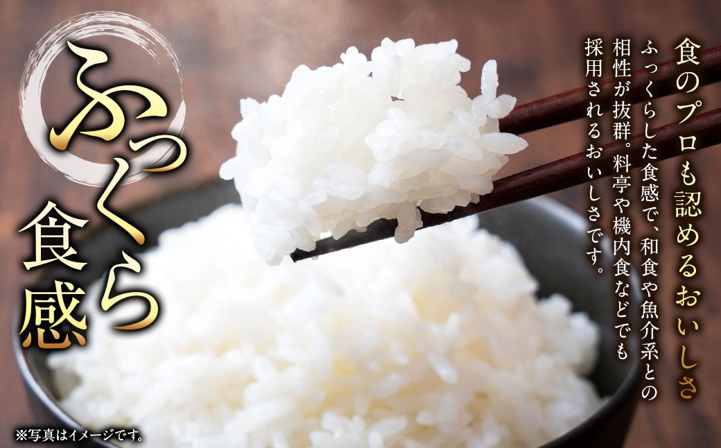 【 2回定期便 】 浦臼産 ふっくりんこ 精白米 5kg