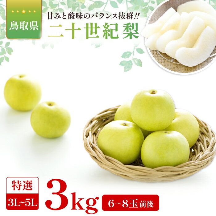 【ふるさと納税】二十世紀梨　特選3kg