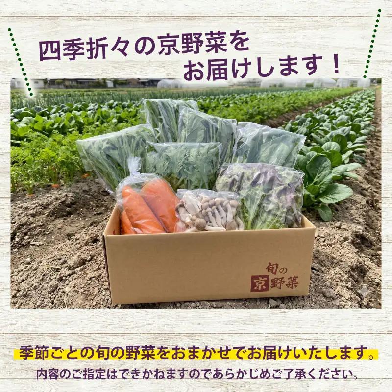 【定期便3回】京野菜セット 4~6種  定期便 レギュラーコース 野菜定期便 