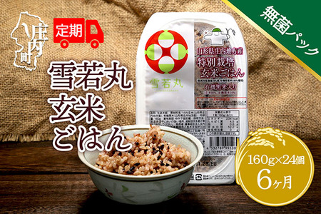 ＜8月中旬発送＞6か月定期便！雪若丸 玄米パックごはん 24個（入金期限：2025.7.25）