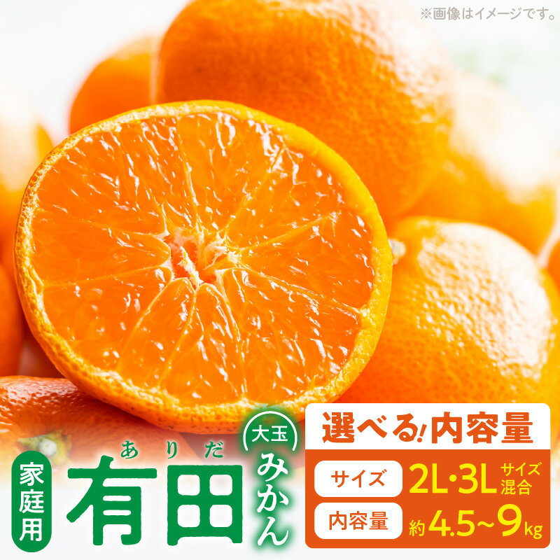 【ふるさと納税】【限定】 ご家庭用 有田みかん 大玉 2L 3L サイズ混合 選べる 内容量 約4.5kg 約9kg 和歌山県 湯浅町 お取り寄せ 送料無料