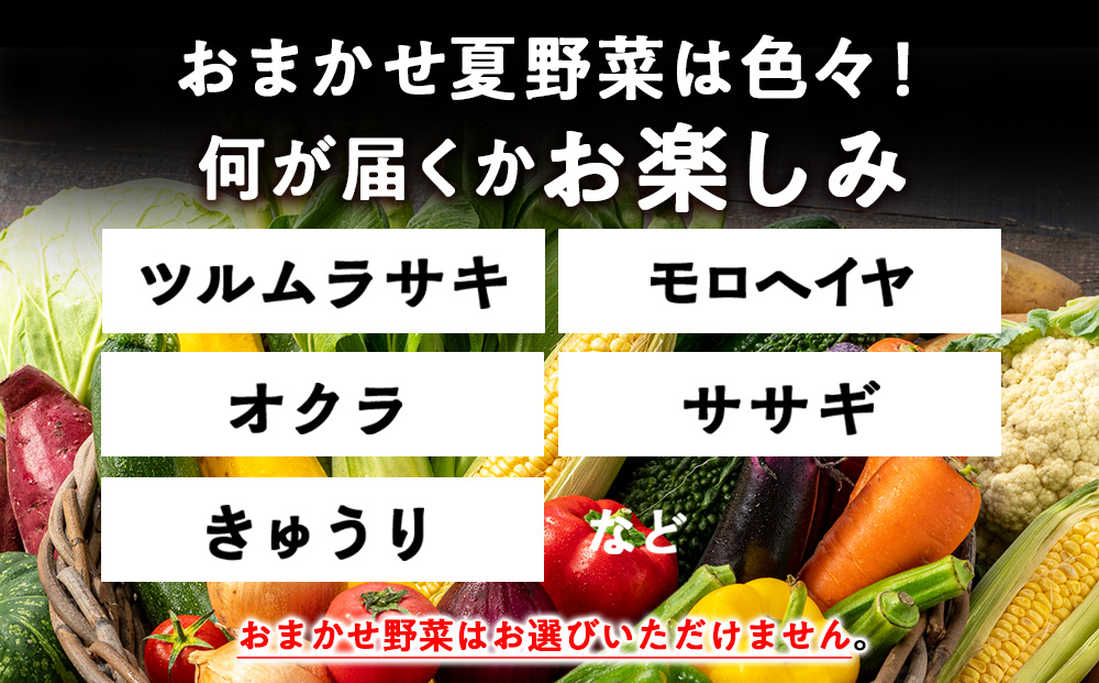 【2026年夏発送】秋山農園のおすすめ夏野菜セット5kg 5種 野菜詰め合わせ