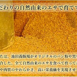 【3回定期便 豚肉7種セット】 ありたぶた バラエティSセット (豚肉7種) 3回 定期便 小分け 真空パック 豚肉 ロース バラ ウインナー ソーセージ ハンバーグ N60-8_イメージ4