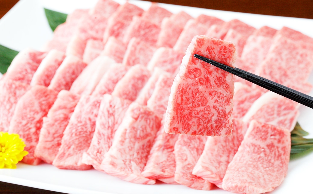 くまもと黒毛和牛 焼き肉用ロース 計約600g（約300g×2パック） 黒毛和牛 和牛 牛肉 牛 肉 にく ニク お肉 焼肉 焼き肉 ロース 黒毛和牛 和牛 牛肉 牛 肉 にく ニク お肉 焼肉 焼き
