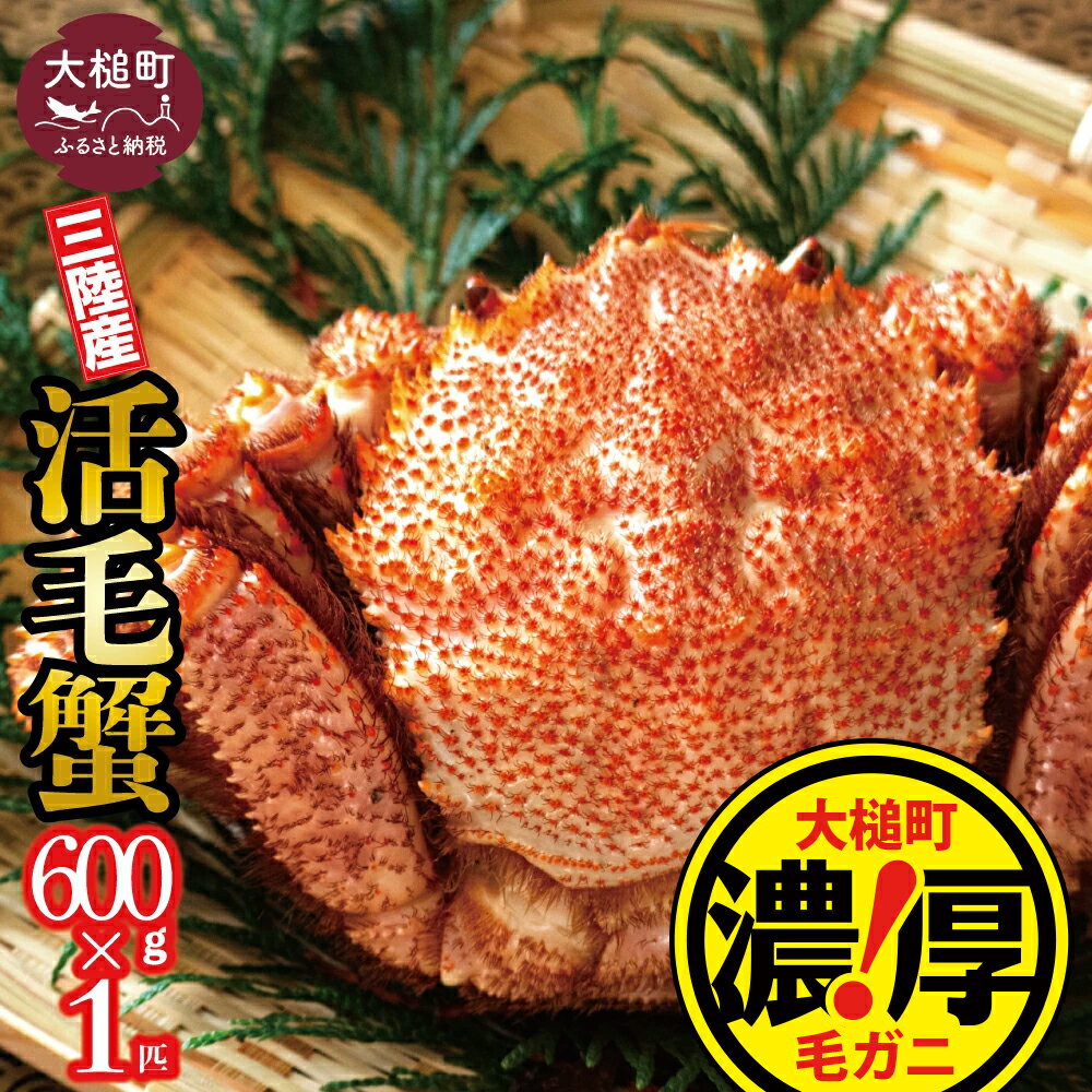 【ふるさと納税】【令和8年発送先行予約】三陸産！活毛ガニ 600g×1杯 【2026年2月～4月発送】【08】毛 ガニ 活 毛ガニ 三陸 三陸産 毛ガニ 蟹 カニ ジャンボ 海鮮 魚介 かにみそ 贅沢 海鮮 寿司 ちらし 毛蟹 毛かに 毛カニ かに ガニ がに 活ガニ 活がに 活蟹 毛蟹 濃厚