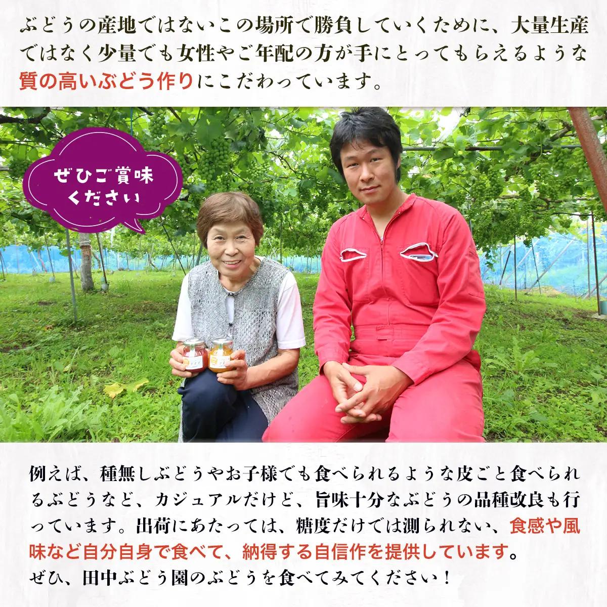 ＜2026年発送分　先行予約受付中！！＞ シャインマスカットと大粒ぶどう詰め合わせ 約1.9~2.1kg（3～4房）シャインマスカット ぶどう詰め合わせ 巨峰 ピオーネ ぶどう ブドウ マスカット 果