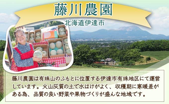 [№5525-0477]北海道産 有珠メロン 2玉 セット 赤肉 Lサイズ 1.6kg以上×2玉 ツル付き レッドルピア 果物 めろん フルーツ くだもの 完熟 旬 ご褒美 ギフト お祝い 産地直送 