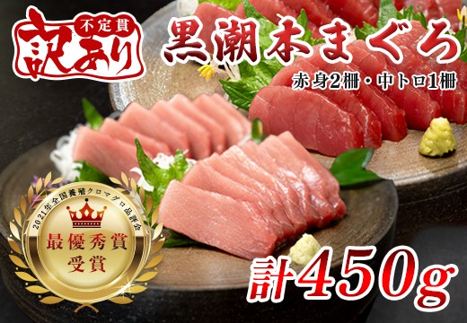 【訳アリ】養殖本マグロ 赤身 中トロセット 450g 黒潮本まぐろ｜不定貫 不揃い 2種 刺身用 家庭用 養殖まぐろ 最優秀賞受賞 日本一 配達日指定可 本まぐろ まぐろ 鮪 訳あり ワケあり 小分け