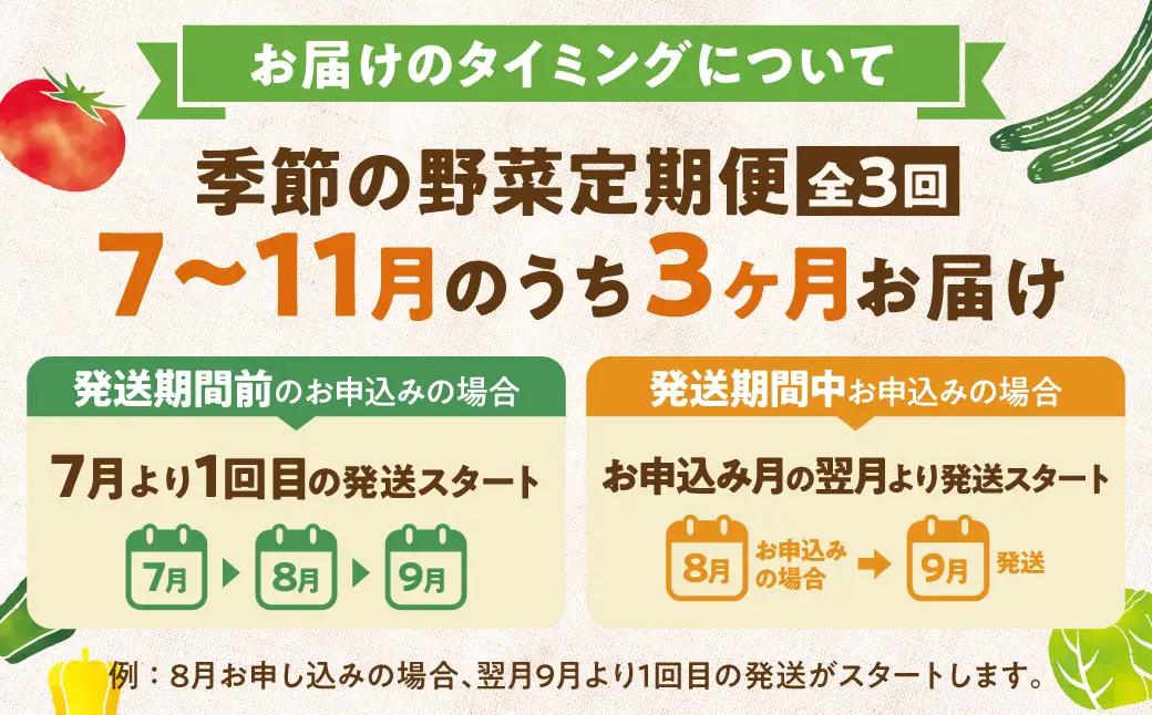 【先行予約】3回定期便　3か月定期便【野菜定期便 7～11月】 朝採れ 野菜セット 5～8種 | 自然栽培 おまかせ トマト ナス キュウリ ゴーヤ オクラ ネギ ししとう 冬瓜 ジャガイモ 玉ねぎ 