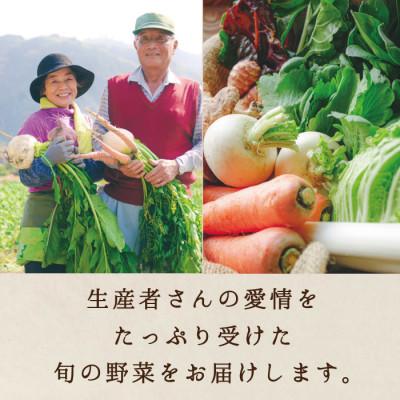 ふるさと納税 真庭市 真庭あぐり野菜セット カット野菜が1品入る10〜11品【yasai015】 |  | 01