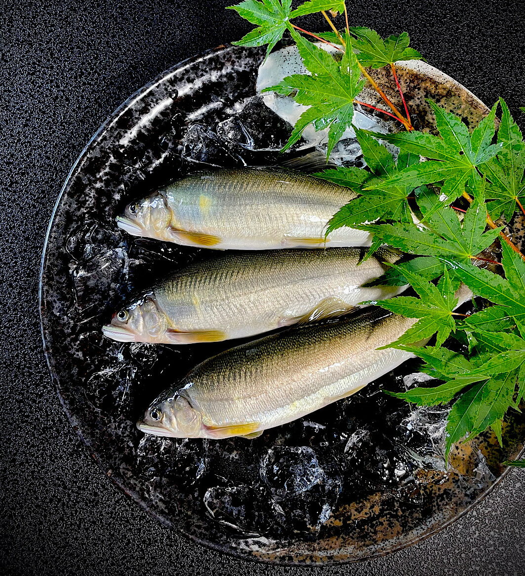 【ふるさと納税】【夏季限定】生鮎・天然仕立て《こまち鮎》活〆5匹　熨斗対応可[B15-4201]