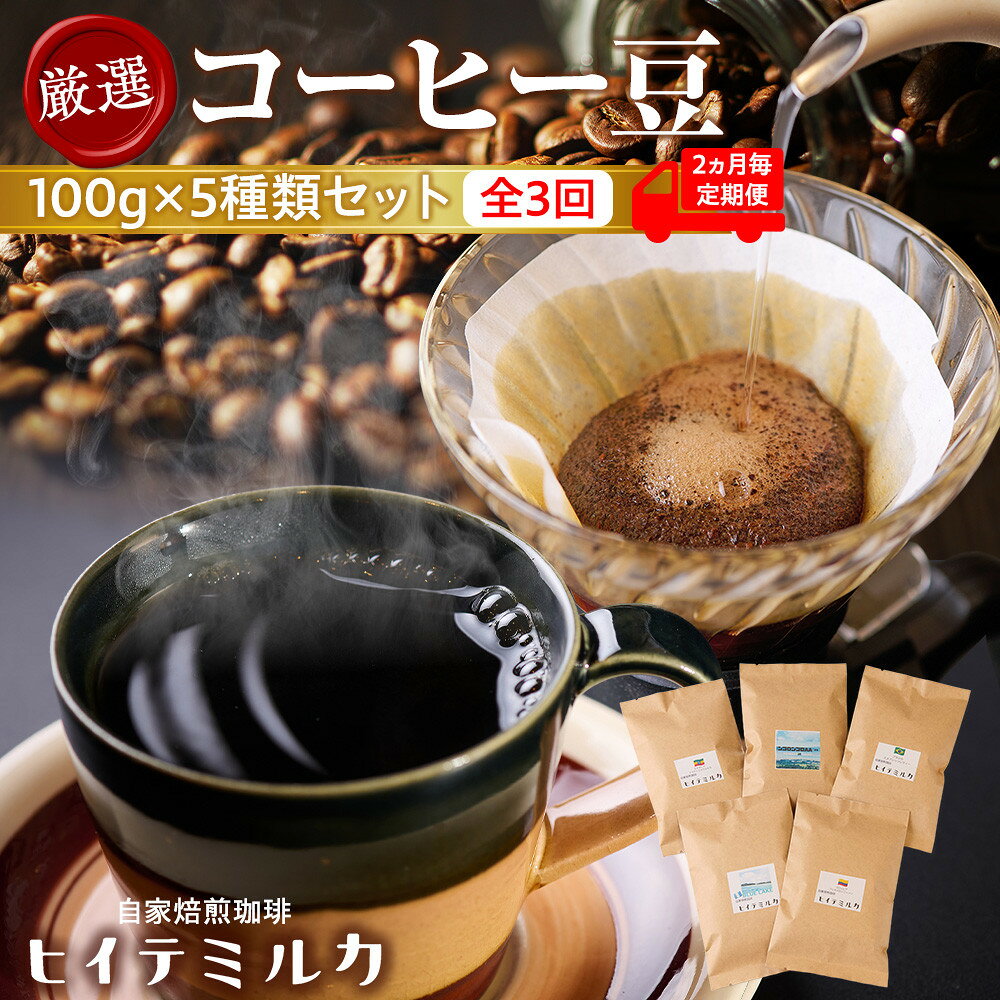 【ふるさと納税】自家焙煎コーヒー ＜2ヵ月毎定期便＞厳選コーヒー豆100g×5種類セット全3回 | 西宮 焙煎職人監修 定期便 厳選珈琲豆 飲み比べ 人気 おすすめ コーヒー スペシャルティ 定期配送 ギフト お取り寄せ 通販 送料無料 ふるさと納税