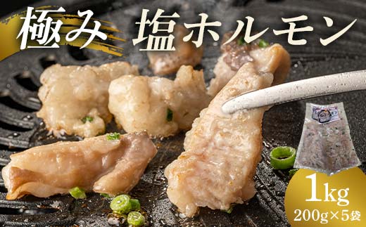 
                  極み塩ホルモン 1kg(200g×5袋) EB8-0321
                
