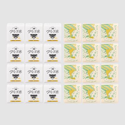 ふるさと納税 大子町 【新米先行予約】アミーゴ米(コシヒカリ)真空キューブ 2合(300g)×24個 計7.2kg|大子町 |  | 01