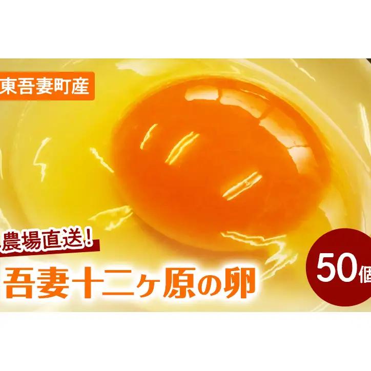 農場直送！吾妻十二ヶ原の卵（50個） 鶏卵 たまご タマゴ 卵 安心 こだわり 食卓 堀田養鶏場 群馬県 東吾妻町