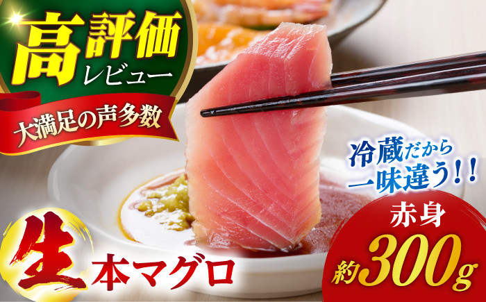 
【ながさき水産業大賞受賞の新鮮なマグロを冷蔵でお届け！！】 五島列島産 養殖 生本かみマグロ 赤身 300g マグロ まぐろ 鮪 刺身 ブロック 【カミティバリュー】 [RBP001]
