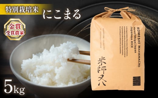 令和6年産 新米 にこまる 5kg  ( 2024年産 ブランド 米 rice 精米 白米 ご飯 内祝い 十六代目米師又八 謹製 もちもち 国産 送料無料 滋賀県 竜王 ふるさと納税 )